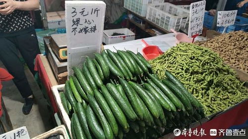 濟(jì)南多種蔬菜價格回落，市場增速放緩